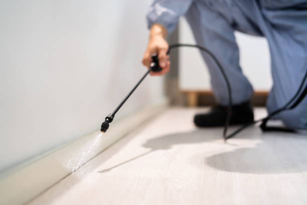 Licensed Mosquito Control service in Winnsboro Mills, SC - Show Me Pest Control