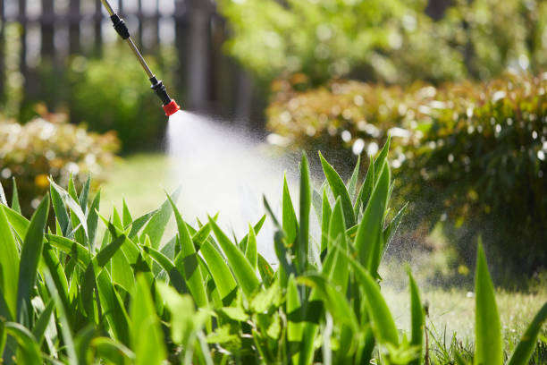 24/7 Emergency Mosquito Control experts in Winnsboro Mills, SC