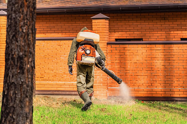 Top rated local Mosquito Control specialists in Winnsboro Mills, SC